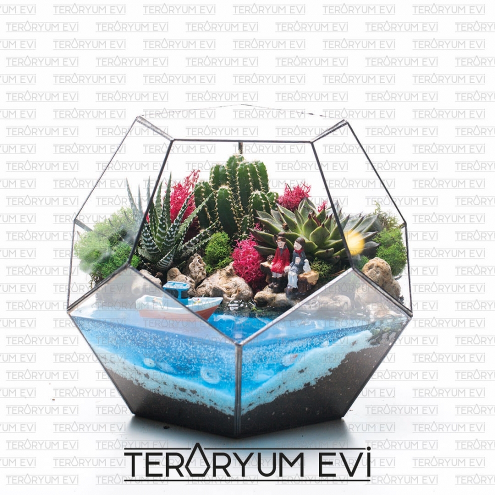 Su Efektli Geometrik Teraryum