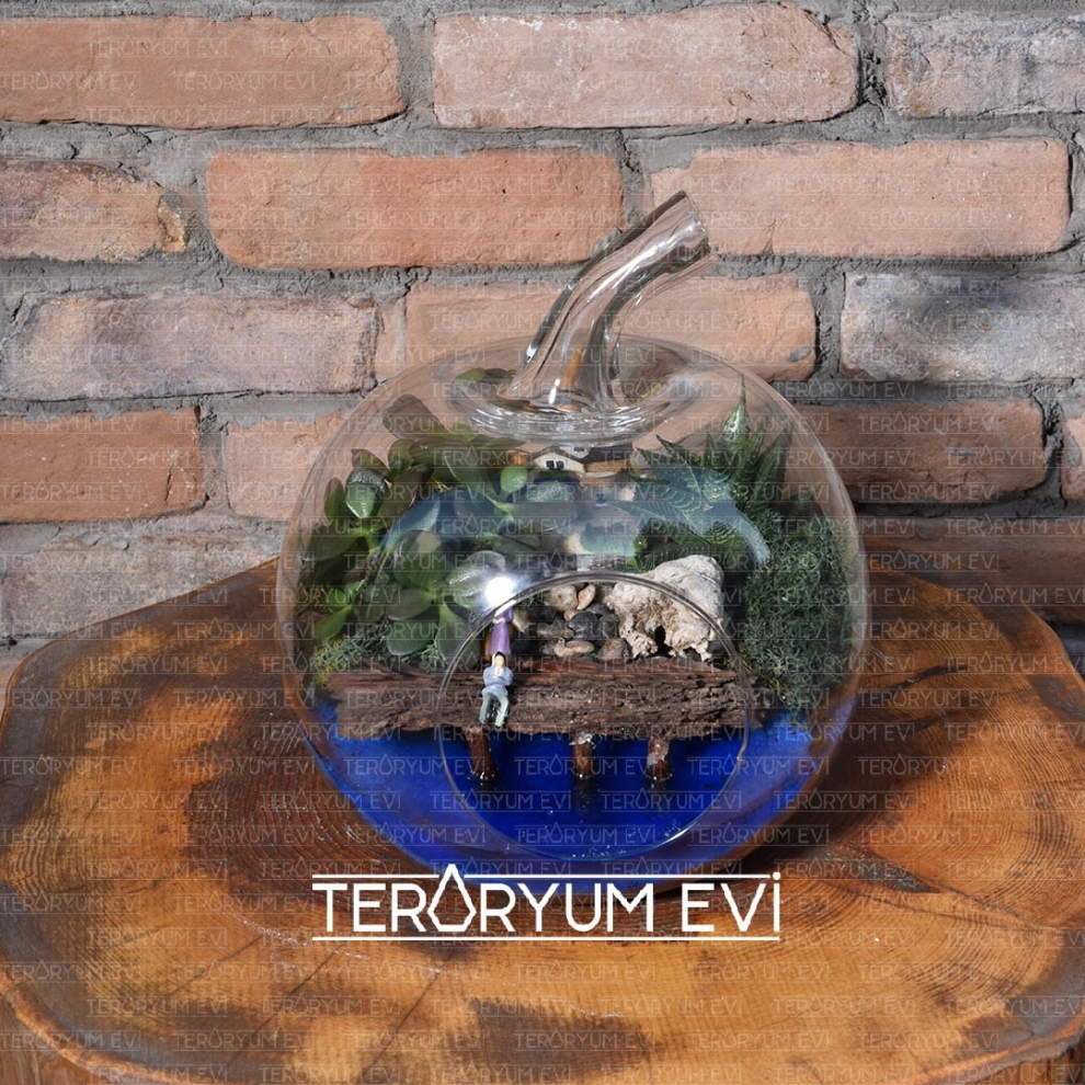 Deniz Manzarası Teraryum