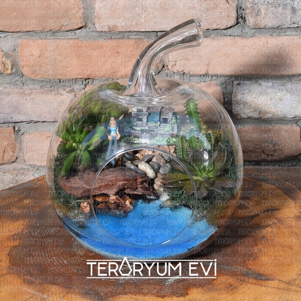 Orta Boy Teraryum