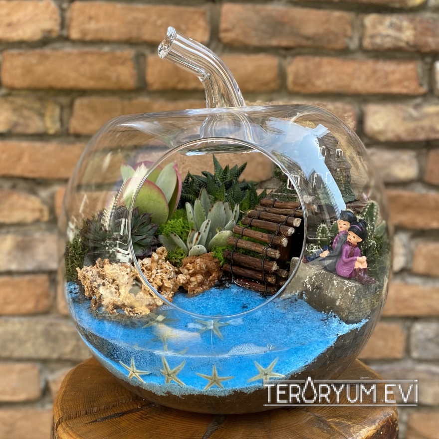 XL Elma Teraryum