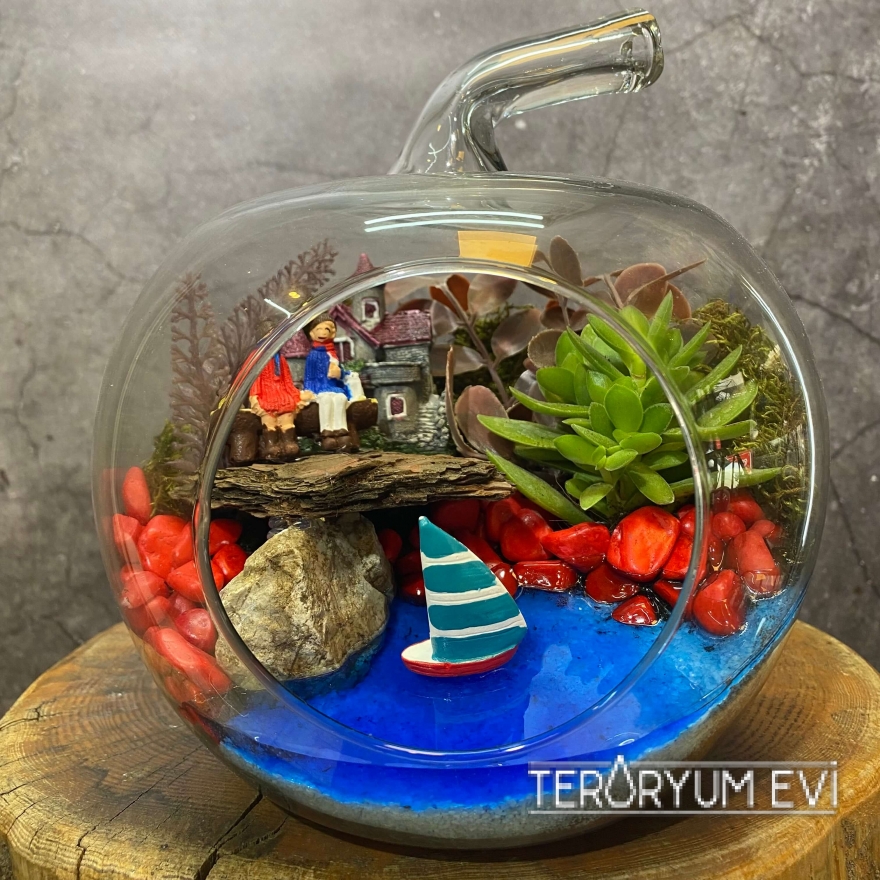 Küçük Boy Teraryum