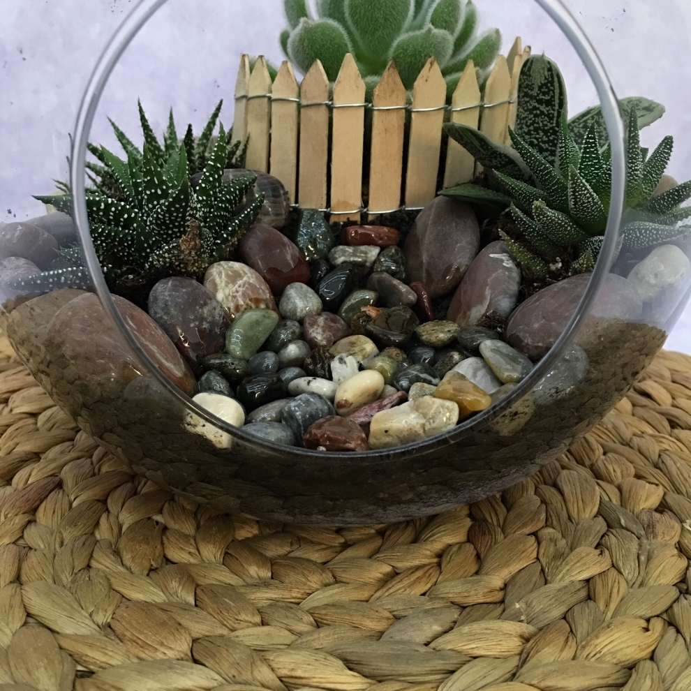 https://www.teraryumevi.com/
