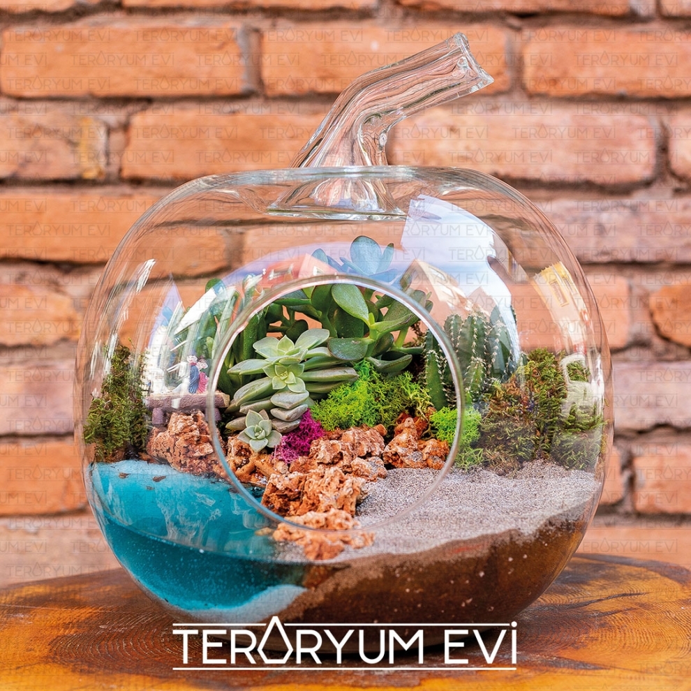 Teraryum South Beach